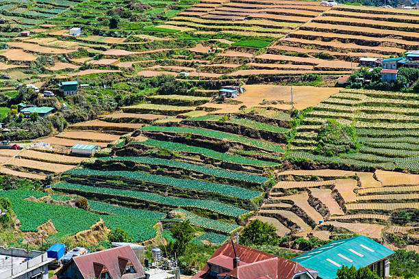 istock Terraced fields in Mt. Solis Atok Benguet, Philippines. 2218072069