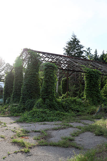 istock Abandoned metal frame structure made of metal among plants 2218075775