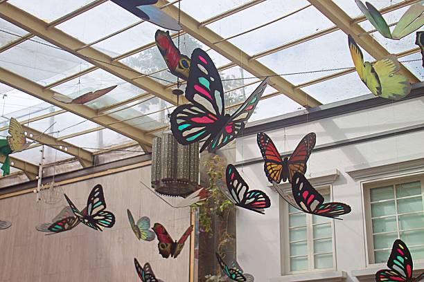 Colorful Butterfly Hanging Decorations Under Glass Roof