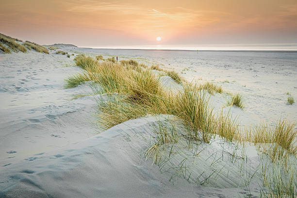 istock Expansive Ouddorp beach at sunset, featuring wide dunes, sparse coastal grass, and a soft, fading light. 2218078980