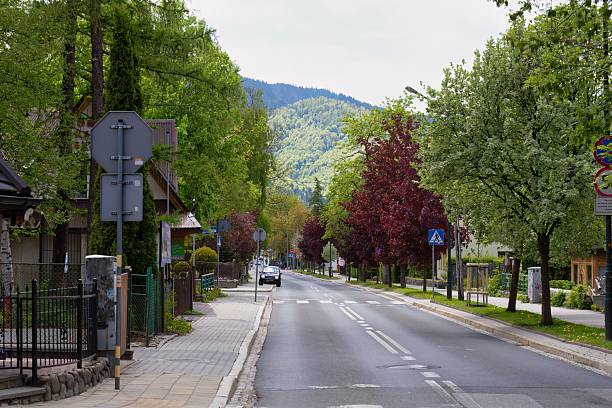 istock A quiet road leads towards a distant mountain 2218083009