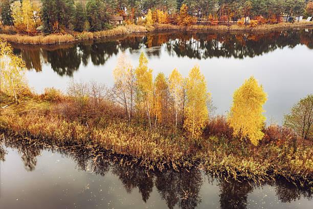 Beautiful autumn landscape with reflection of birch trees in the lake, seasonal background