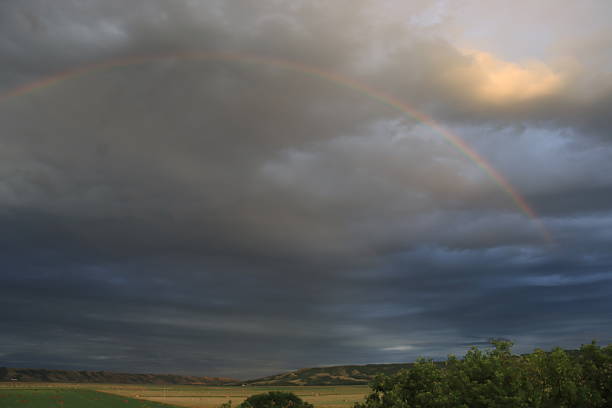 Early mornings in the summer near the Qu'Appelle River have surreal beauty.