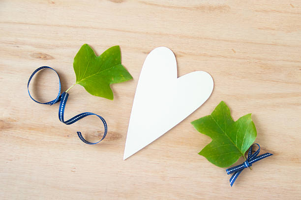 Tulip tree leaves and ribbon design on boad.  / Liriodendron tulipifera