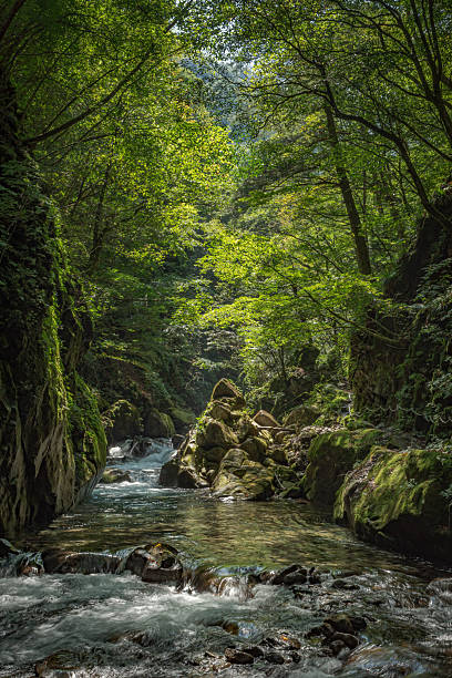 Summer scenery of Nishizawa Valley