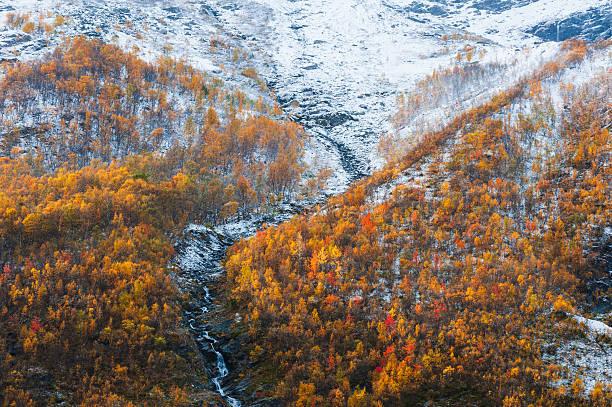 A striking landscape features a snow-covered mountain hill alongside vibrant autumn trees in Norway. The bright colors of fall contrast beautifully with the winter chill, creating a breathtaking view.