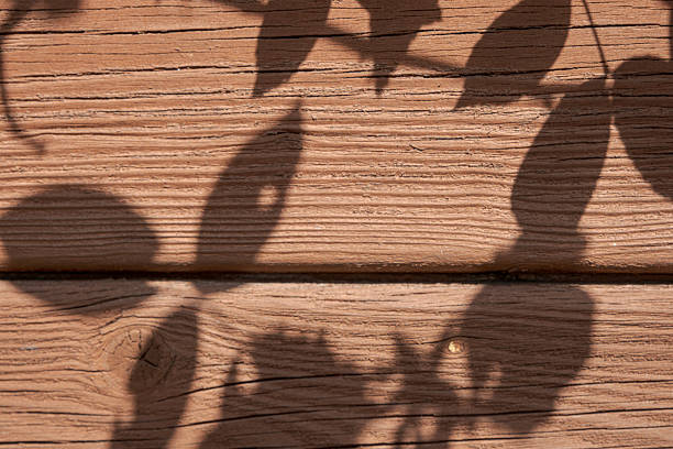 Shadow of leaves on wooden board