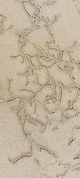 istock beach sand texture as very nice natural background 2218123426