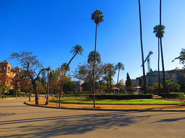 Seville ,Spain  - December 05 ,2024   \
