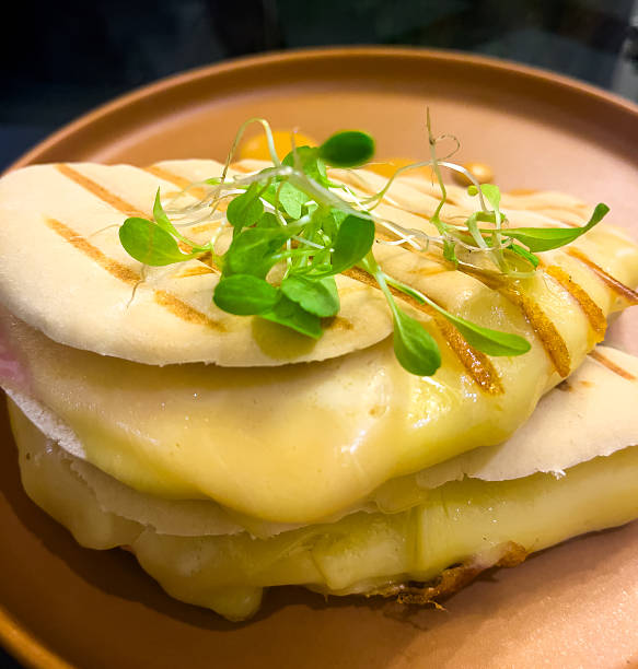 Gourmet panini sandwich with fresh microgreens