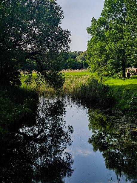 Sky, clouds, nature, trees, water, leaves, branches, landscape, after rain, atmospheric, clear day, cloudy, nature, for website, for blog, for video, for visual, beautiful, aesthetics, play of light