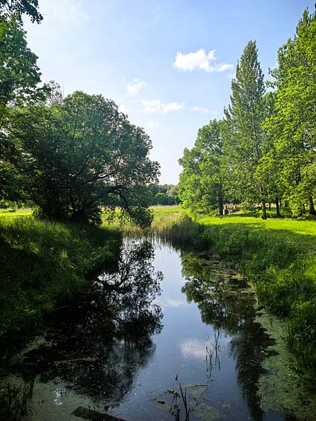 istock Sky, clouds, nature, trees, water, leaves, branches, landscape, after rain, atmospheric, clear day, cloudy, nature, for website, for blog, for video, for visual, beautiful, aesthetics, play of light 2218135885