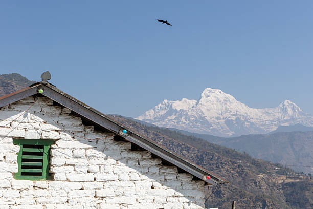 A rural house with a green window frame and decorative lights is seen against a backdrop of snow-capped mountains under a clear blue sky. A bird flies above the scene.
