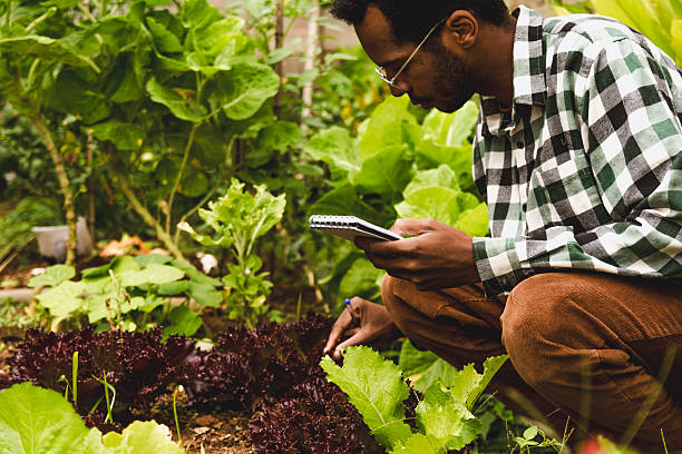 istock Young Black Entrepreneur in the Agronomy Sector 2218138607