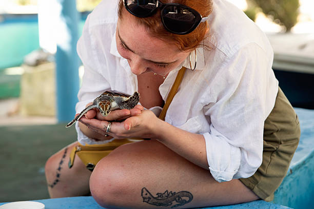 istock Young woman holding a young turtle. 2218143788