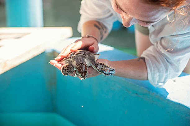 Young woman holding a young turtle.