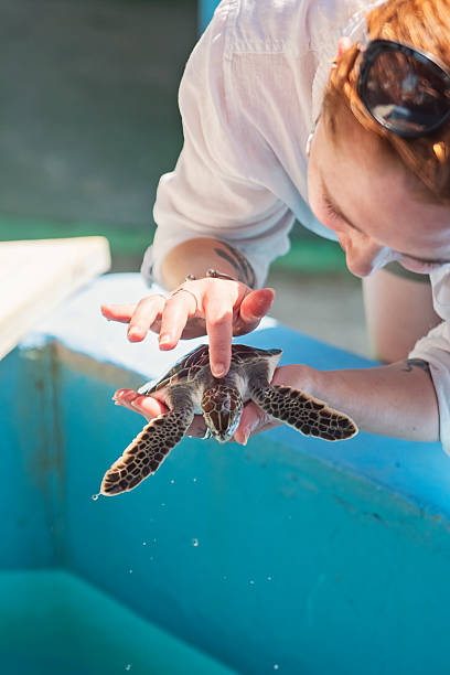 istock Young woman holding a young turtle. 2218143799