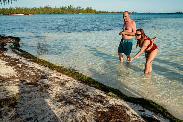 istock Stepfather and stepdaughter feeding the iguanas on the beach. 2218143807