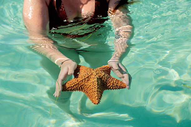 Body positive young woman’ hands holding a starfish in the ocean. She is in her twenties and is dressed in swimsuit. Horizontal outdoors close-up shot. This was taken in Cayo Largo, Cuba.