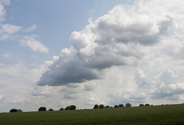 A large grassy field with trees and clouds in the background. Sky. Outdoor. Grass. Field. Clouds