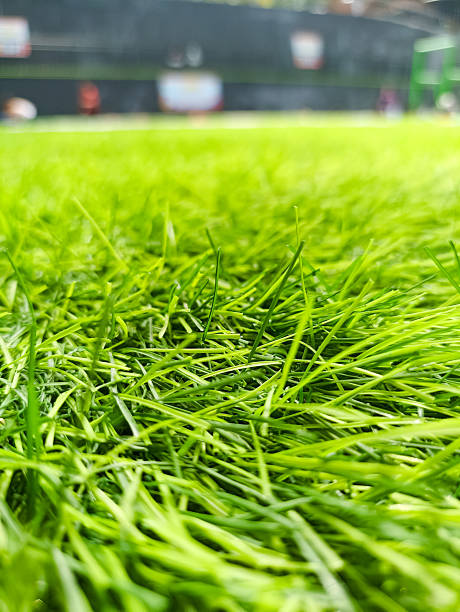 istock close up fresh green grass. for cover templates 2218152034