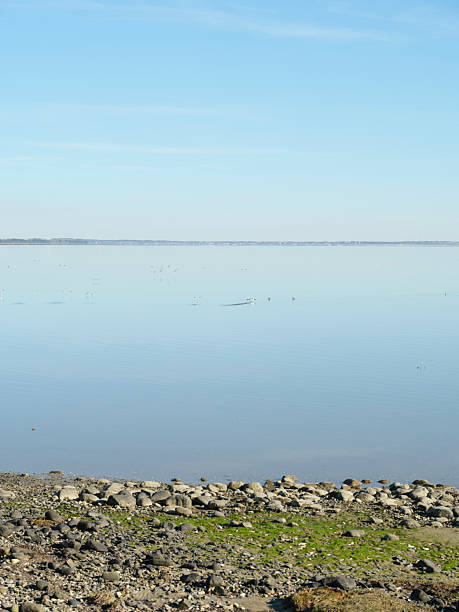 istock Serene waterfront view of a tranquil lake on a clear sunny day 2218156732