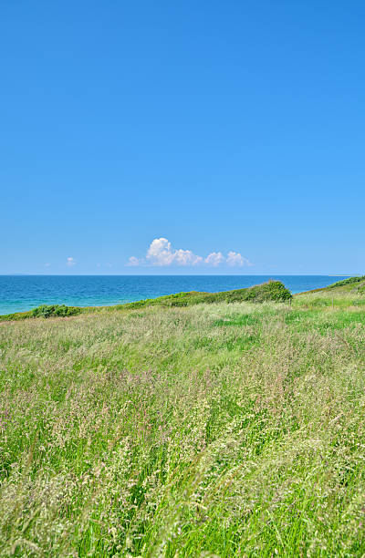 istock Tranquil Danish Coastal Grassland Overlooking the Ocean Under Clear Skies 2218156859