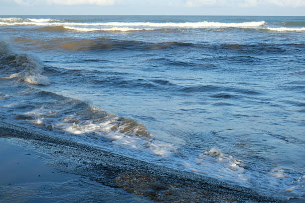 There are a few places where we can go that are free from mankind's influence on our oceans. From the shore to the deep seas. We must become even more diligent and mindful of our actions towards the environment if we want both humans and animals to survive.
