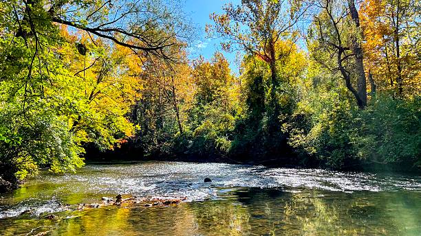 istock Sun-Dappled River Through Vibrant Autumn Woods 2218159228