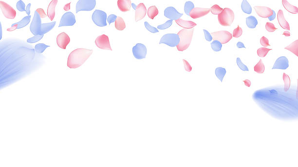 istock Floating and purple pink flower petals. Romantic background with realistic flowing or falling pink cherry blossom petals. 2218164345
