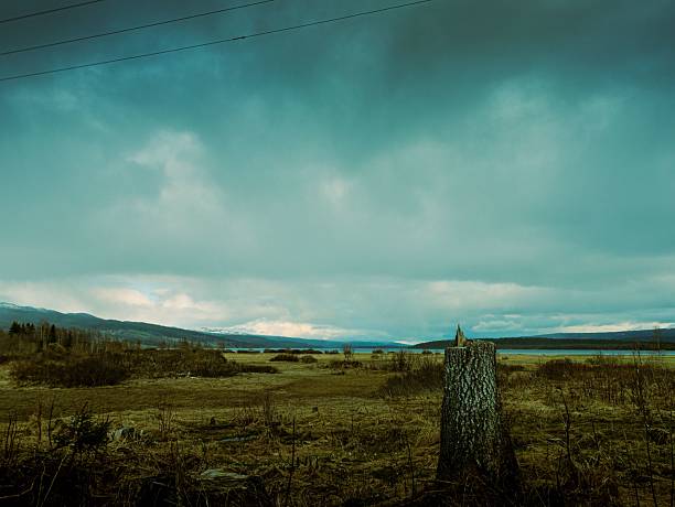 A cut tree trunk in a desolate Scandinavian field under a heavy sky. Stark, minimal and deeply symbolic.