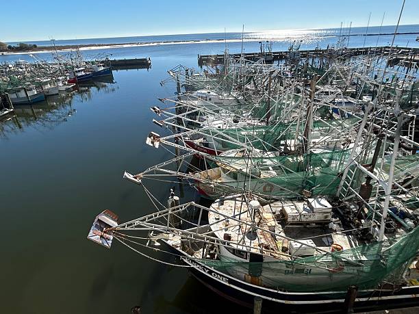 Fishing Boats in the harbour at Bribe Island in Queensland
