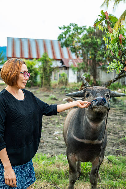 istock A woman taking a photo with a cow. 2218166896