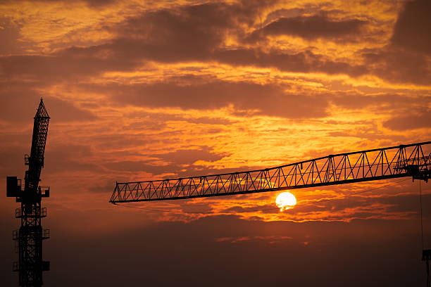 May 2015, crane in the sunset in Zürich (Switzerland)