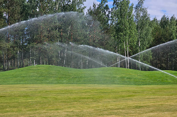 istock Sprinklers water a lush green golf course surrounded by trees on a sunny day in park 2218170144