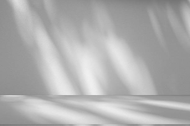 istock Wall interior background, studio and backdrops show products.with shadow from window color white . background for text insertion and presentation product 2218170372