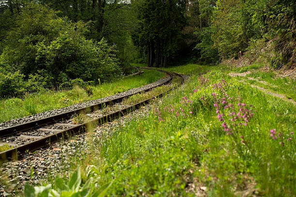 Eisenbahnschienen durch das Selketal