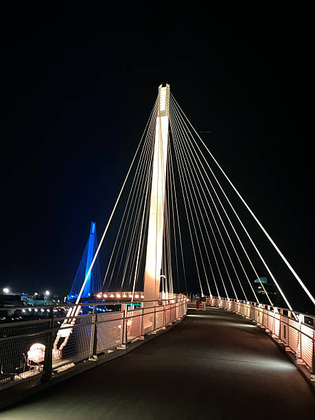 A ground view of the Arkansas River Pedestrian Bridge over the Arkansas River in Wichita, with walkways and trees in the foreground and buildings in the background.