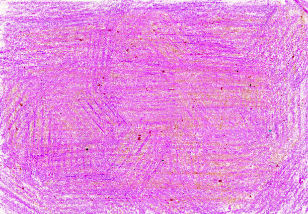 istock Background filled with chaotical strokes texture with colored pencils, chalk, wax crayons. Different shades of pink, purple. 2218179294