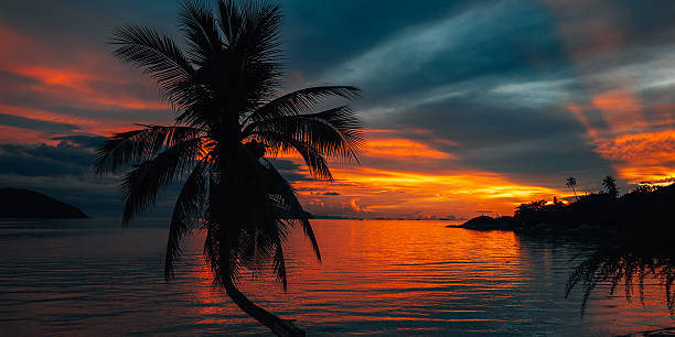 istock Palm Trees on White Sandy Beach with Island View in Azure Sea 2218184828