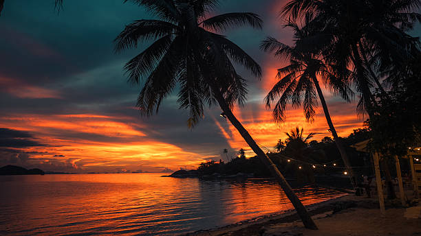 istock Palm Trees on White Sandy Beach with Island View in Azure Sea 2218185025