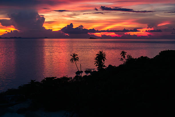 istock Sunset Over Ocean with Palm Silhouette 2218185423