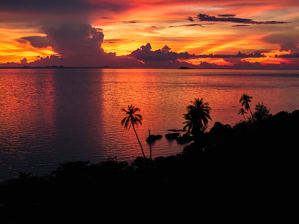 istock Sunset Over Ocean with Palm Silhouette 2218185425