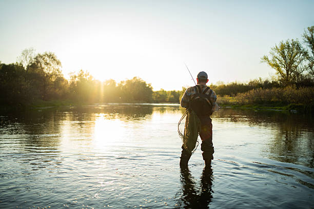 istock Fisherman casting fly line in river at golden hour. 2218187356
