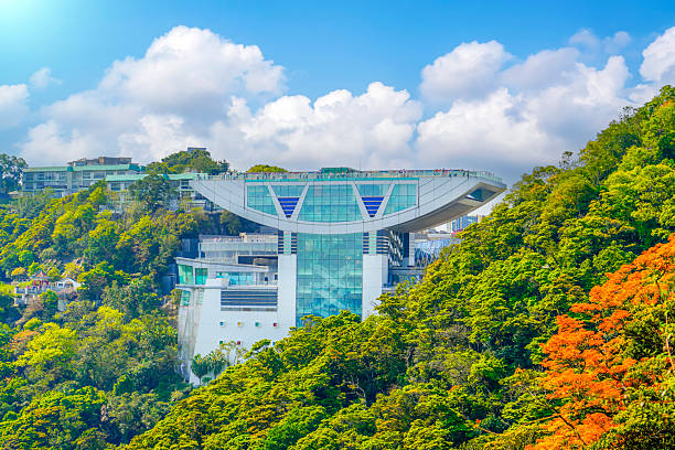 The observation tower on slope Victoria peak on a sunny day surrounded by trees.