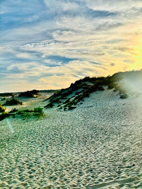 The golden hour on the sand dunes of Tarifa.
