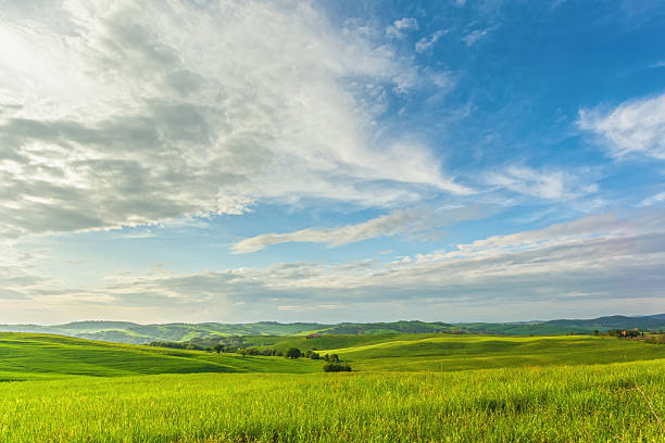 Expansive green fields stretch across the rolling hills of Tuscany under a dramatic sky filled with white and gray clouds. The pastoral landscape showcases the region's characteristic agricultural beauty with distant hills visible on the horizon.