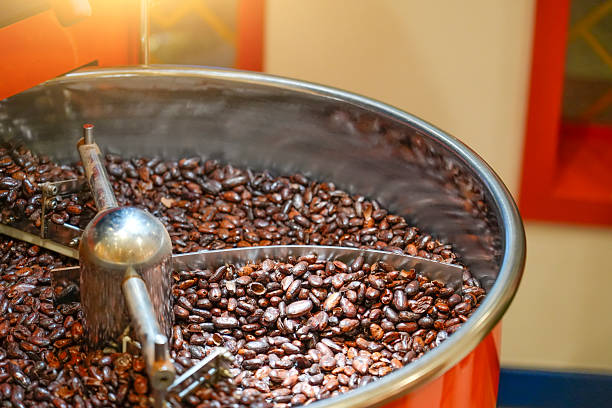Chocolate making process the small craft manufacture. Roasting cocoa beans mixing and roasting and drying seeds to make chocolate, close up.