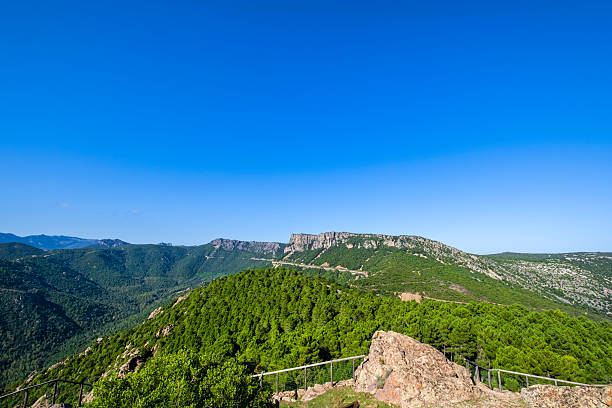 Mountains and forests in Sardinia Eastern Center