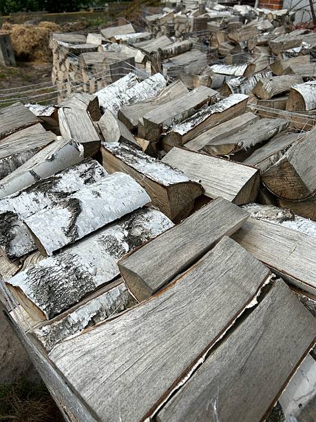 istock collection of firewood 2218203206